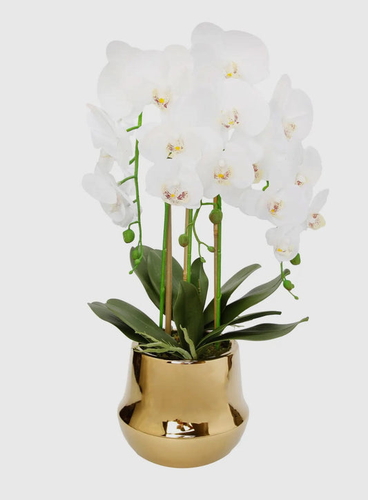 White Orchid Plant in Round Shiny Gold Vase Artificial Flora High Class Touch - Home Decor 