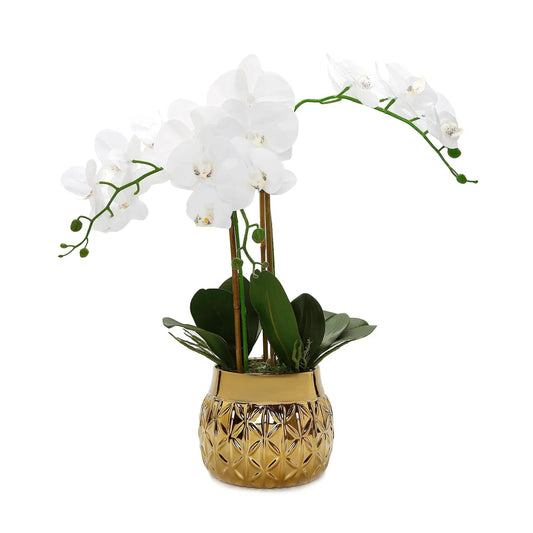 White Orchid Plant in Round Hexagon Design Shiny Gold Vase Artificial Flora High Class Touch - Home Decor 