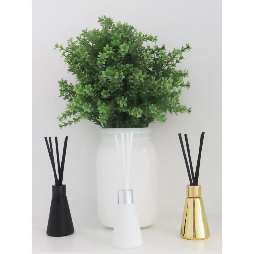 S/3 Diffusers- White/Black/Gold - Assorted Scents